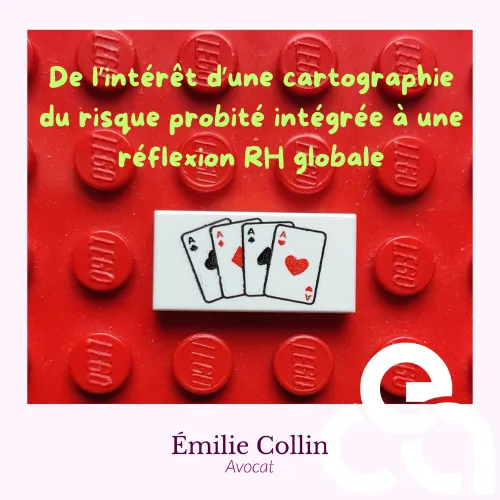 cartographie risque probité intégrée à réflexion rh globale